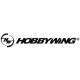HobbyWing HobbyWing