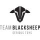 Team BlackSheep (TBS)